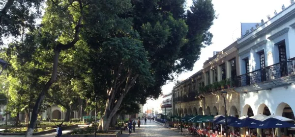 Zocalo de Oaxaca